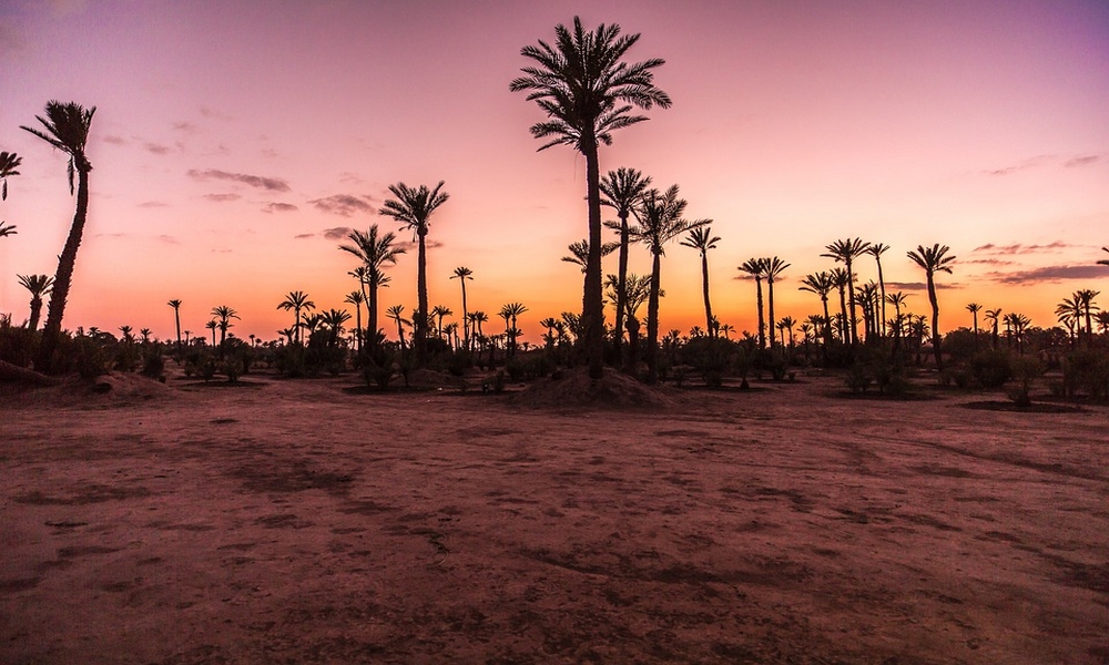8 days morocco oasis & desert tour from marrakech