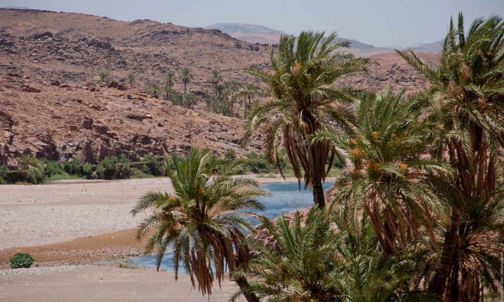 Skoura Oasis