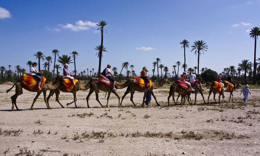 camel riding marrakech