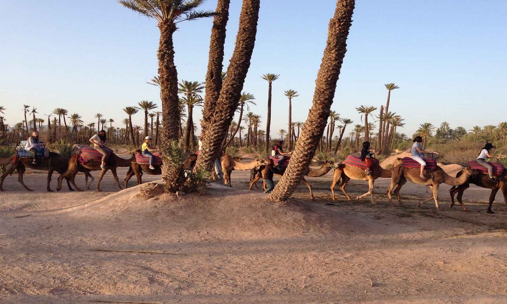 camel riding marrakech