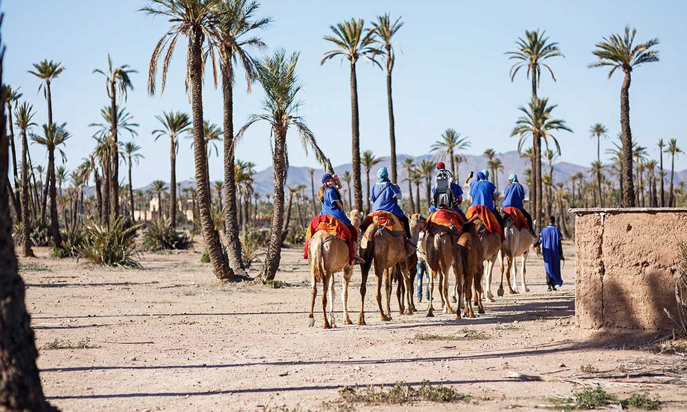 camel riding marrakech