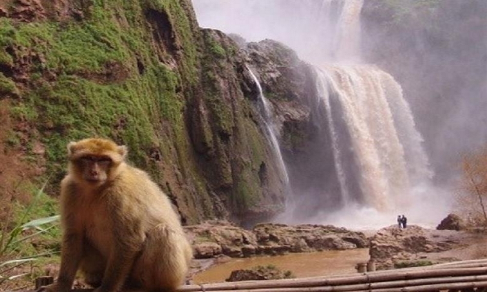 ouzoud waterfalls