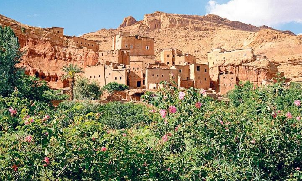 8 days in the rose valley - trekking in morocco
