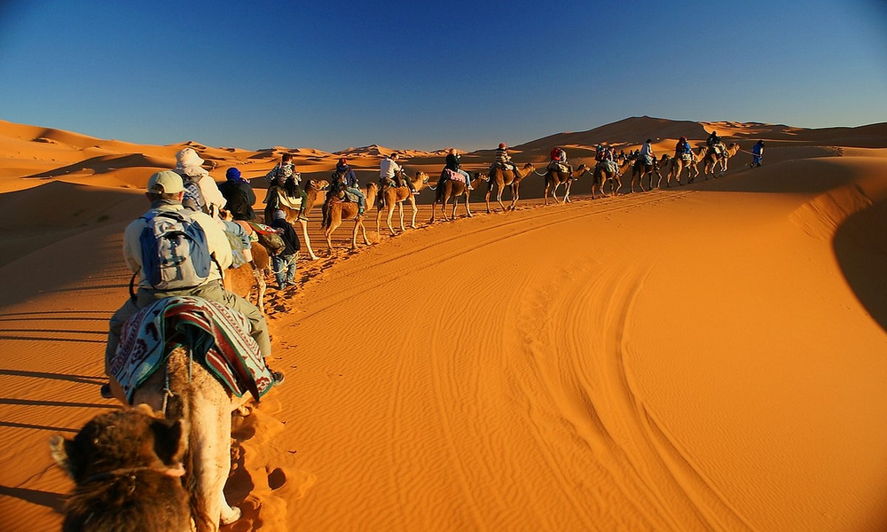 Morocco Desert Merzouga-with-camels