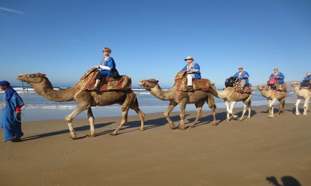 8 days essaouira atlantic coast trekking & camel trek