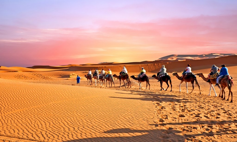 moroccan desert camel trek