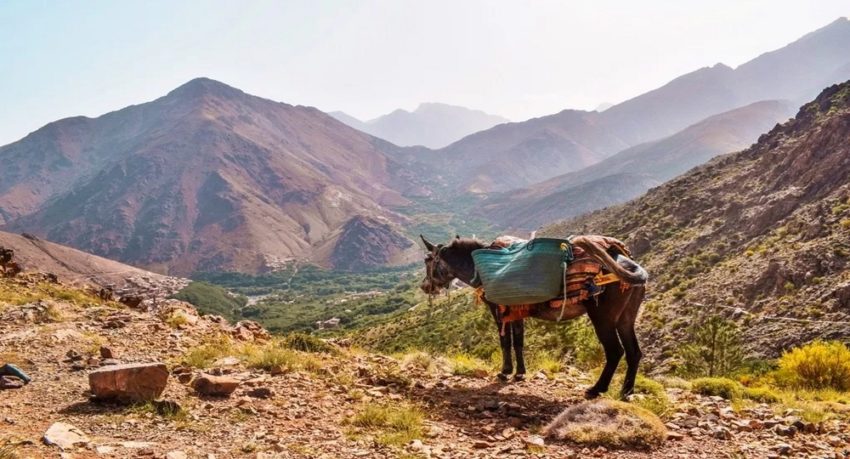 Hiking Morocco