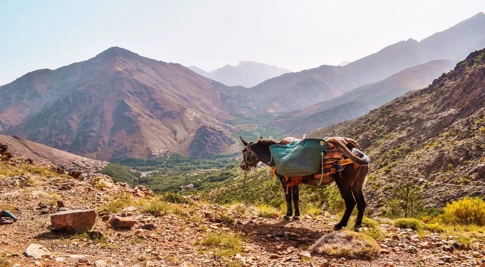 Hiking Morocco