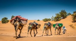 Hiking in the Morocco desert