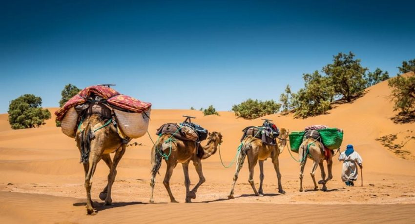 Hiking in the Morocco desert