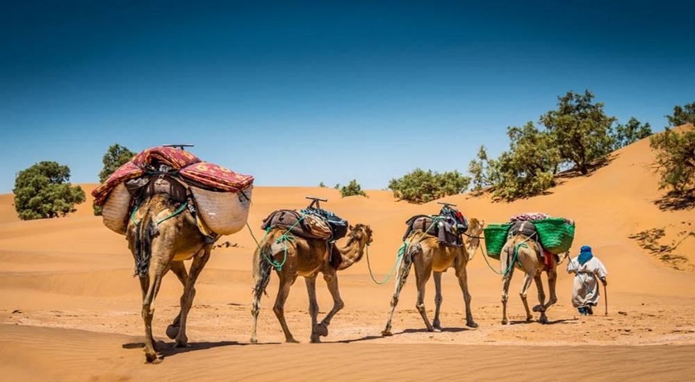 Hiking in the Morocco desert