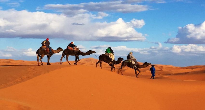 camel trekking in the moroccan sahara